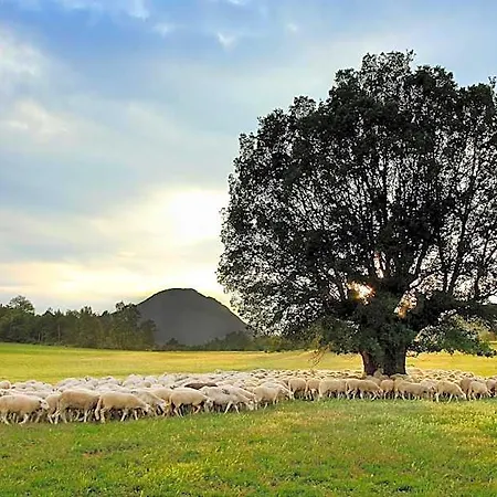 La Borda De Pastores Sabiñánigo