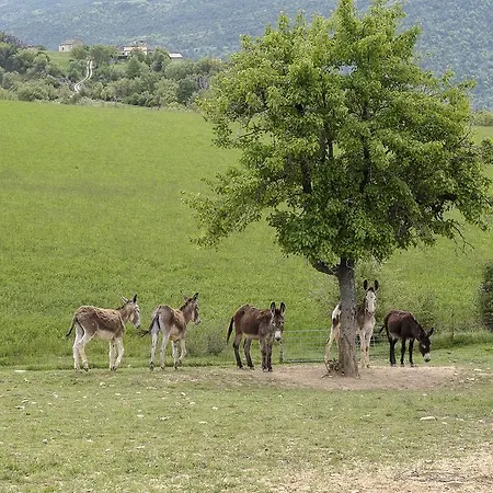 Appart hôtel La Borda De Pastores