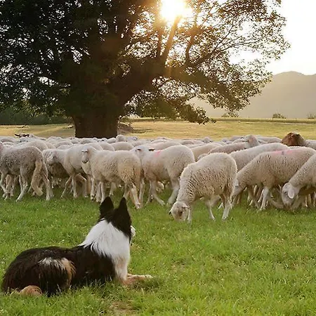 Apartmanhotel La Borda De Pastores Sabiñánigo