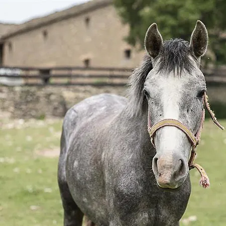 La Borda De Pastores Apartmanhotel Sabiñánigo
