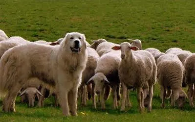 La Borda De Pastores 3* Сабиньяниго