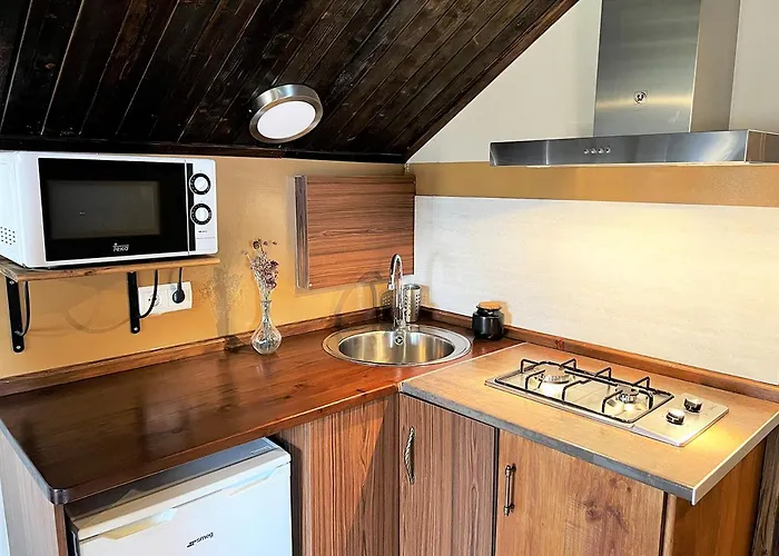 La Borda De Pastores Sabiñánigo