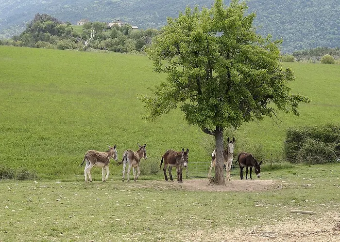 Lägenhetshotell La Borda De Pastores