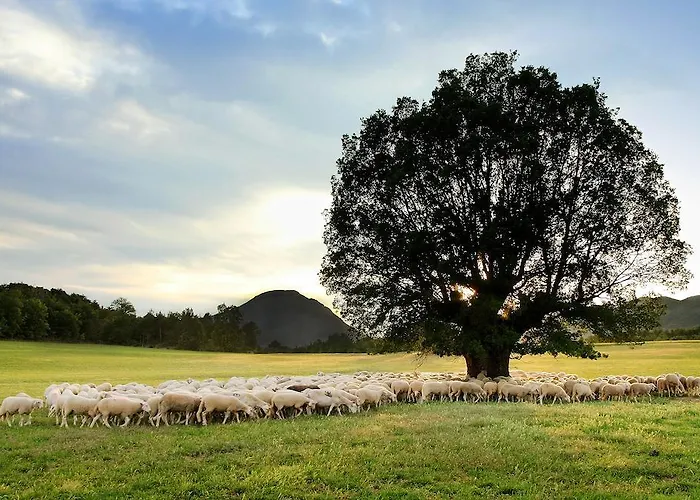 La Borda De Pastores 3*