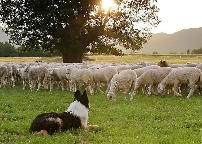 Lägenhetshotell La Borda De Pastores Sabiñánigo